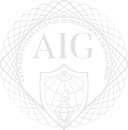 aig logo